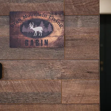 Bran Mountain Living Chalet Bran (Brasov)