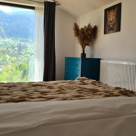 Chalet Bran Mountain Living Bran (Brasov)