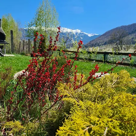 Dağ evi Bran Mountain Living *